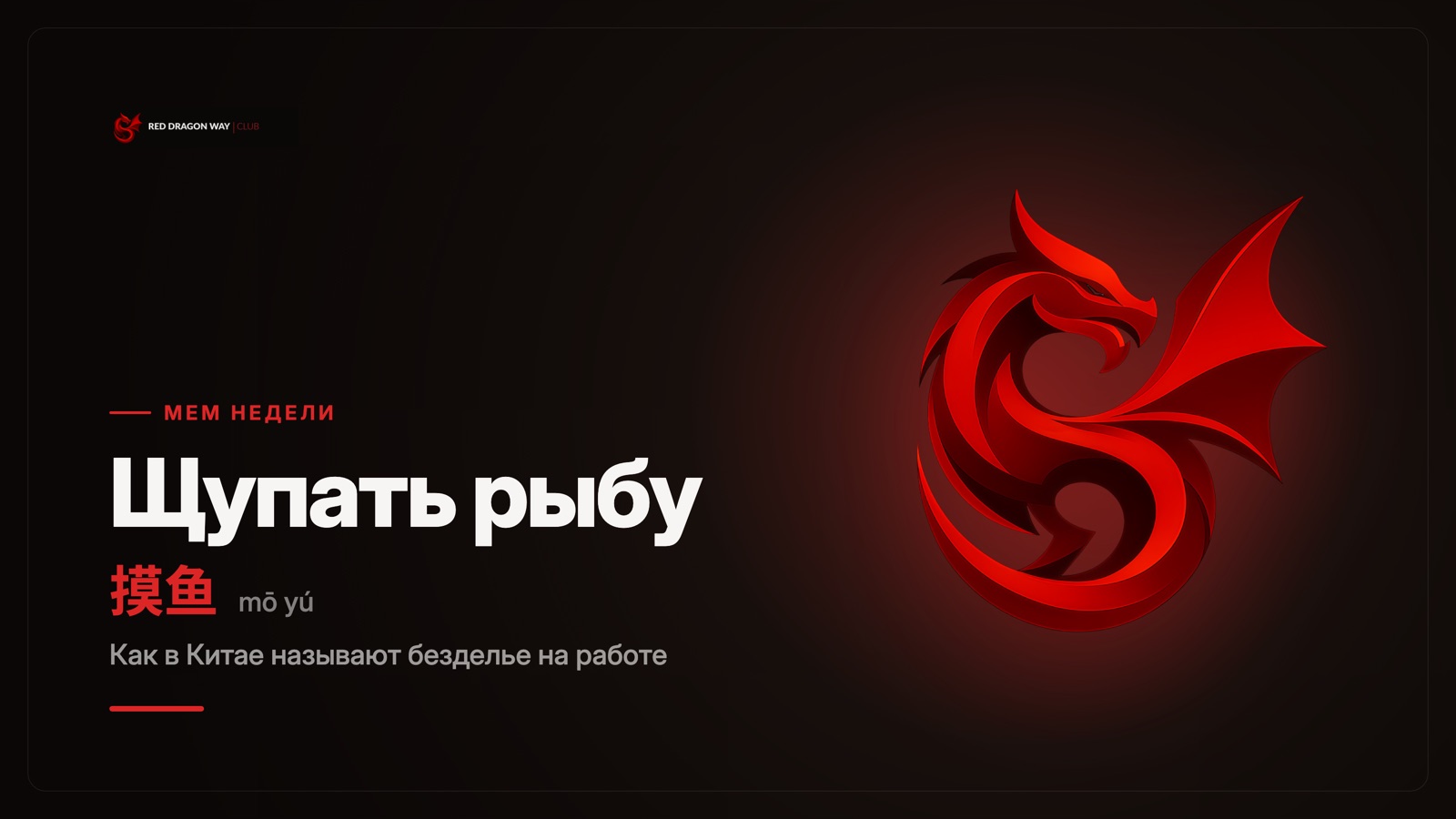Пост клуба: находка недели